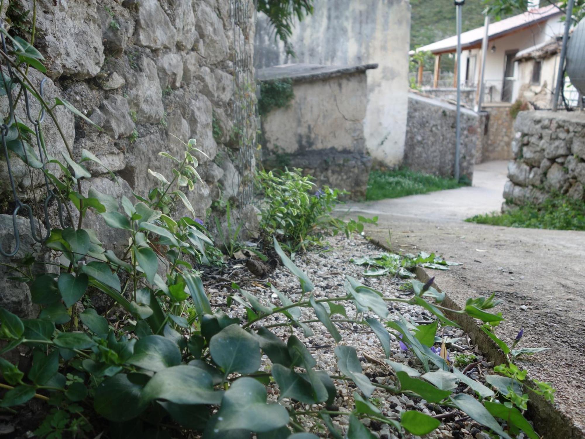 Guesthouse Near The Castle Of Himare Esterno foto